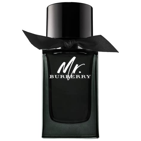 burberry colon|macy's mr burberry perfume.